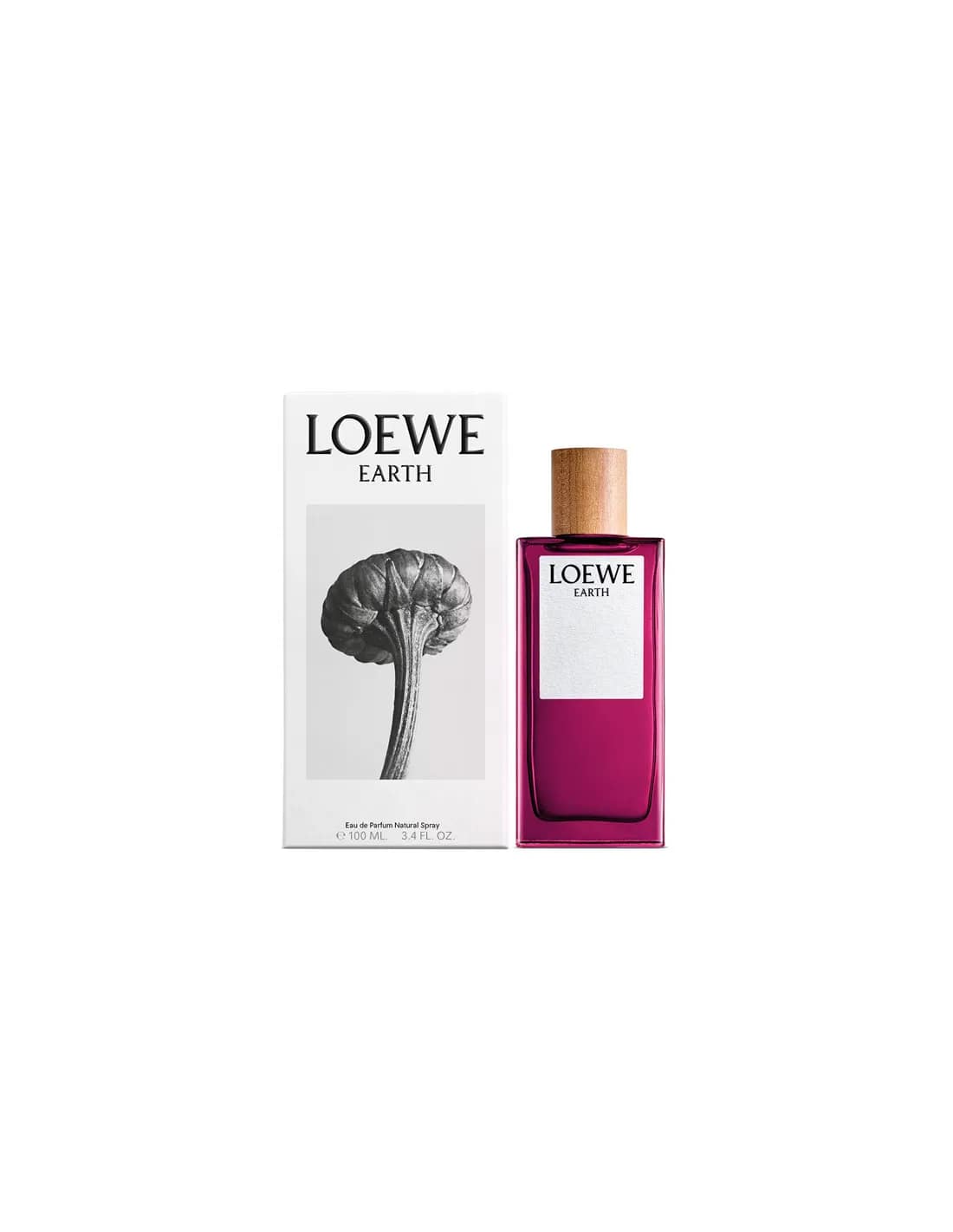 8426017075671-1 Loewe Earth Ep 100 Vap – Image 1