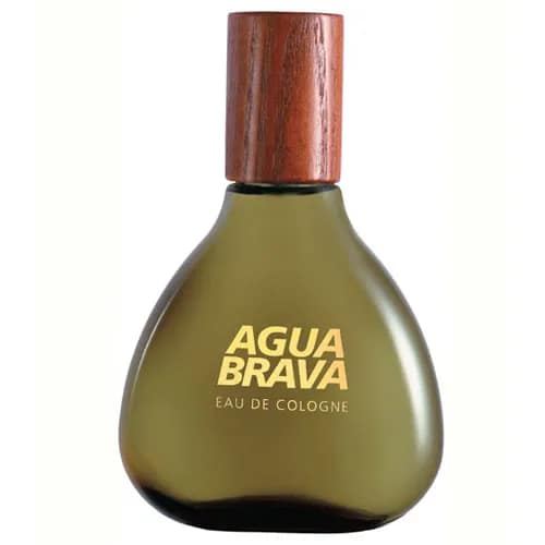 8411061401705-2 Puig Agua Brava Eau De Cologne Vaporisateur 100ml – Image 1