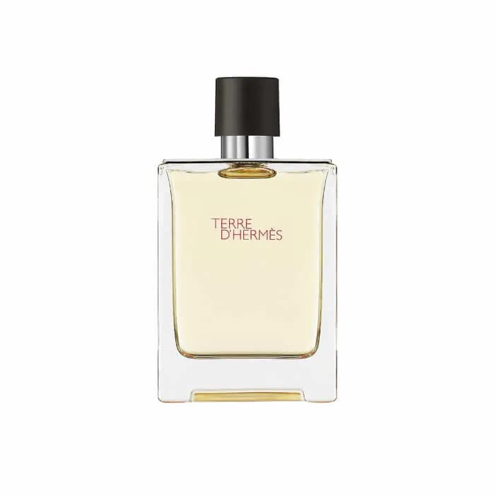 3346130009603_1-4 Hermes Terre D'Hermes Eau De Toilette Vaporisateur 100ml – Image 1